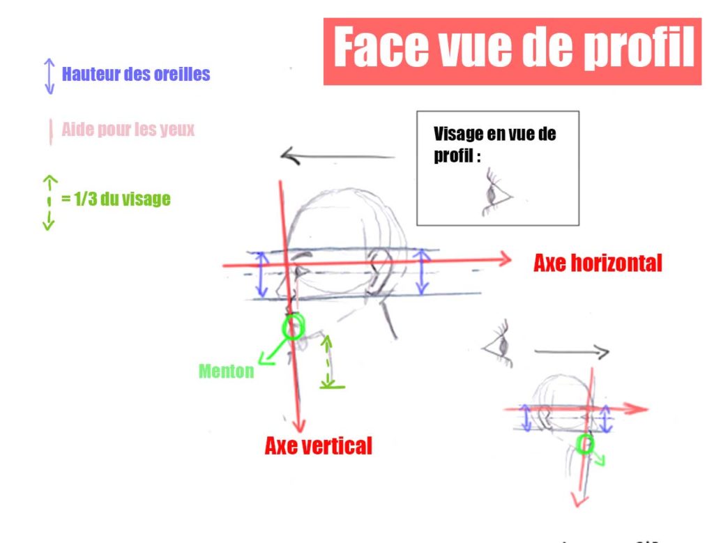 Dessiner un portrait en vu de profil