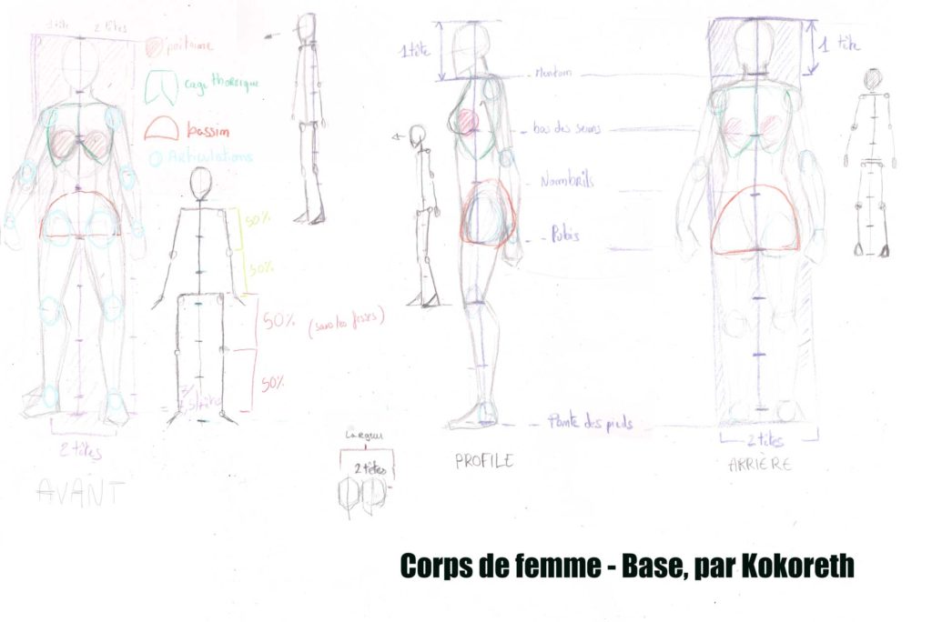 Bases générales pour le corps d'une femmes - Kokoreth