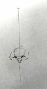 tutoriel comment dessiner un nez - placer les narines