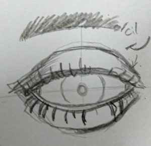 finition de l'oeil en vue de face, on ajoute les ombres et petits détails..