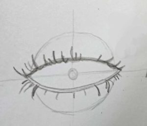 croquis qui montre comment rajouter les cils de l'oeil humain en vue de face
