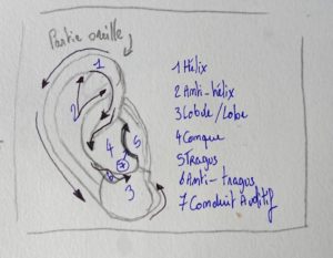 Schéma basique pour représenter une oreille humaine